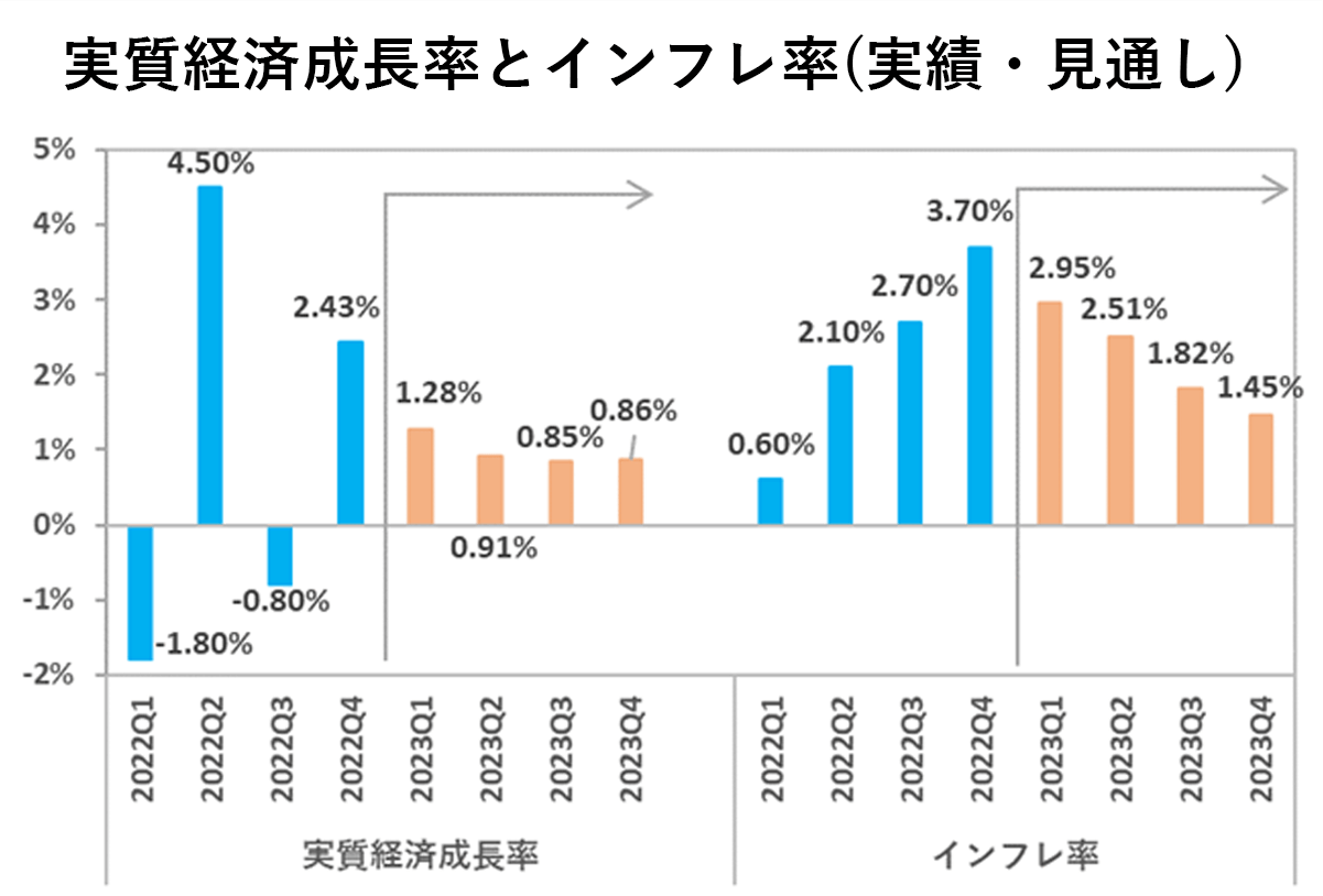 実質経済成長率とインフレ率（実績・見通し）