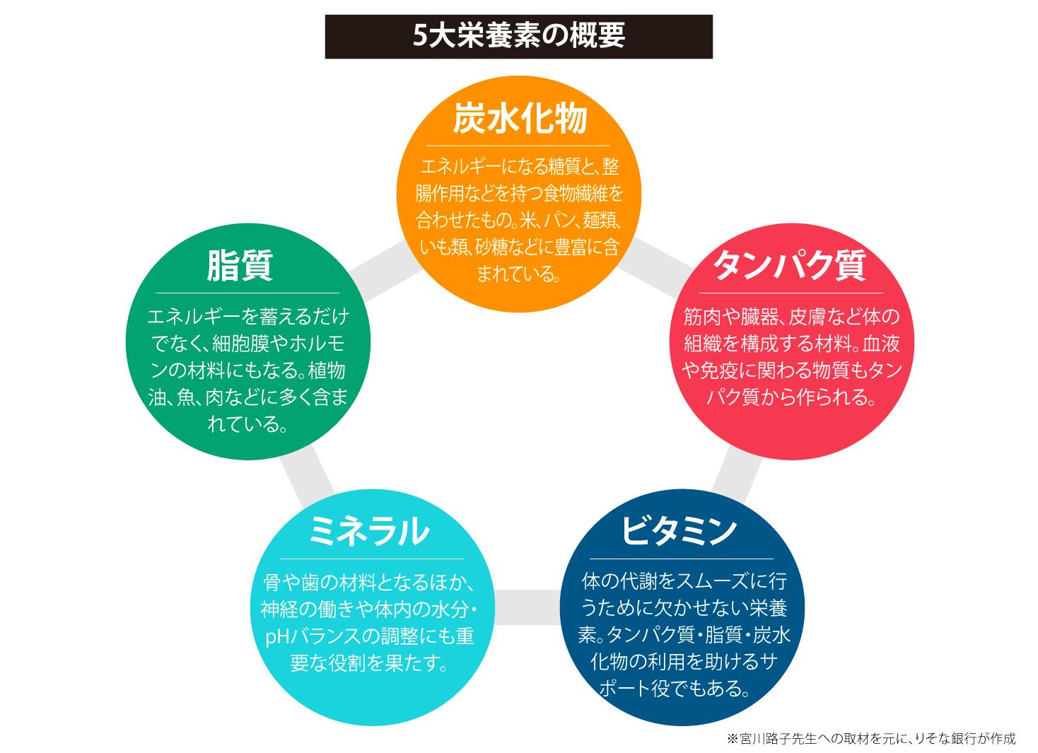 5大栄養素の概要